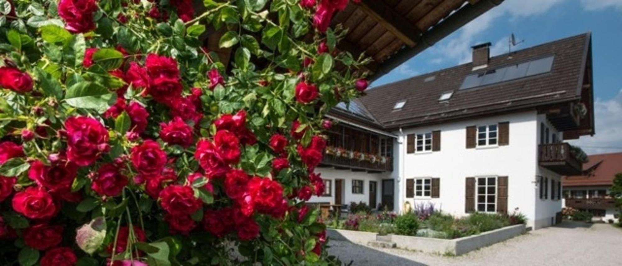 Ferienwohnung Lacherhof Seehausen am Staffelsee Kültér fotó