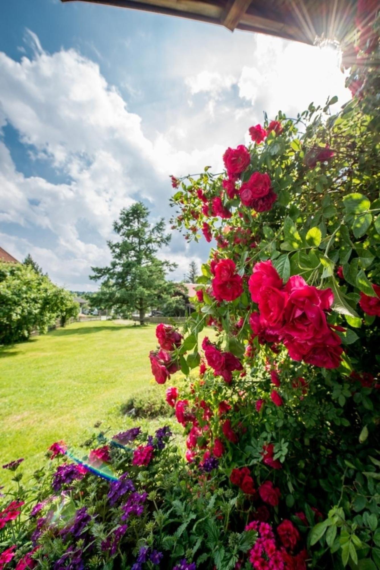 Ferienwohnung Lacherhof Seehausen am Staffelsee Kültér fotó